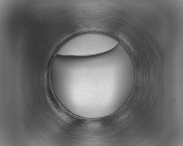 X0000071850491200606301133
