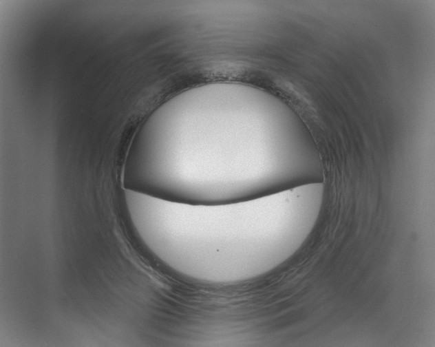 X0000071850498200606301133
