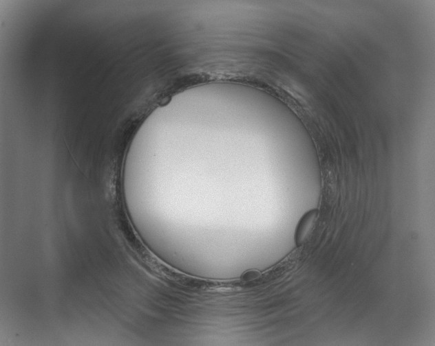 X0000071850499200606301133