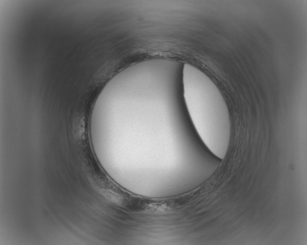 X0000071850502200606301133