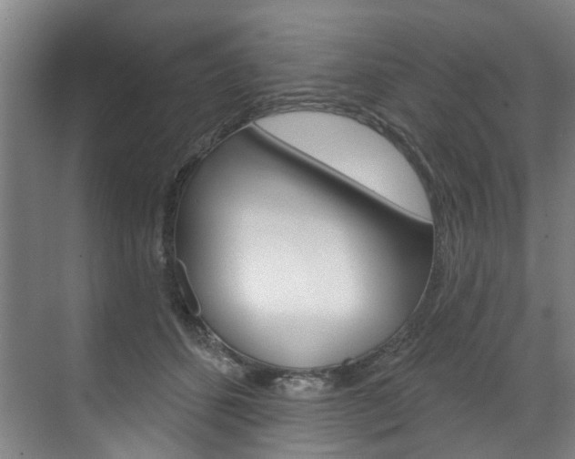 X0000071850512200606301133