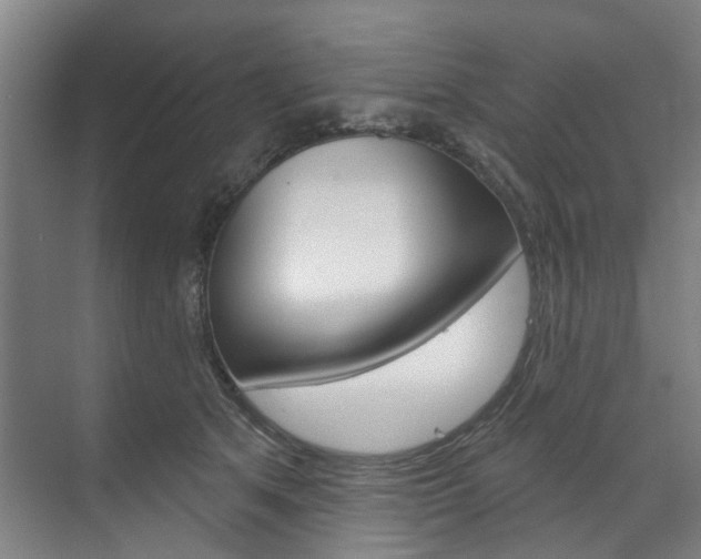 X0000071850513200606301133