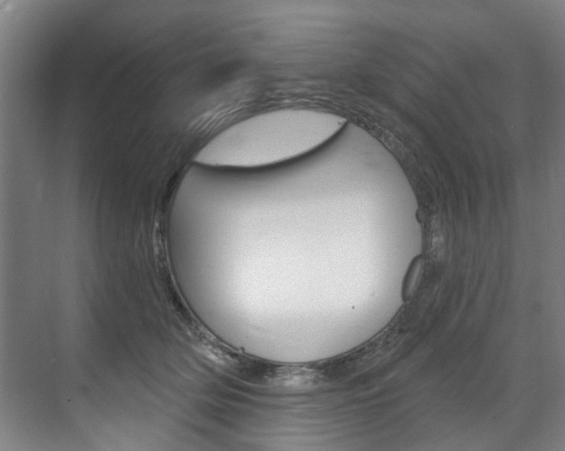 X0000071850514200606301133