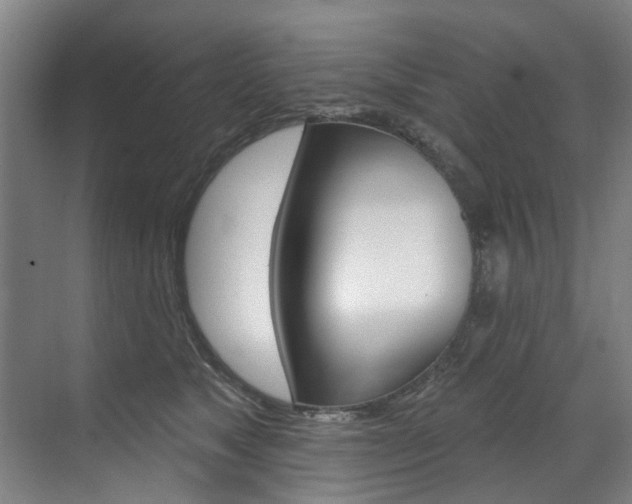 X0000071850517200606301133