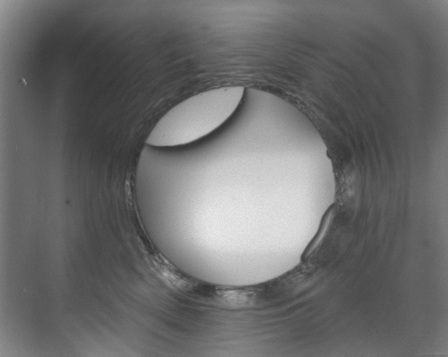 X0000071850522200606301133