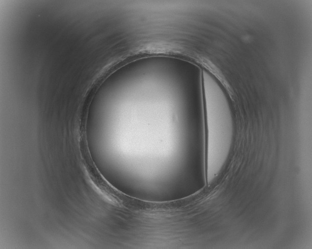X0000071850530200606301132
