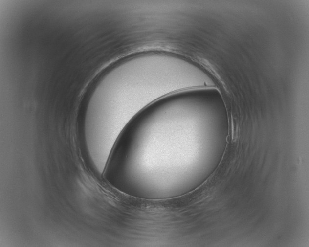 X0000071850531200606301132