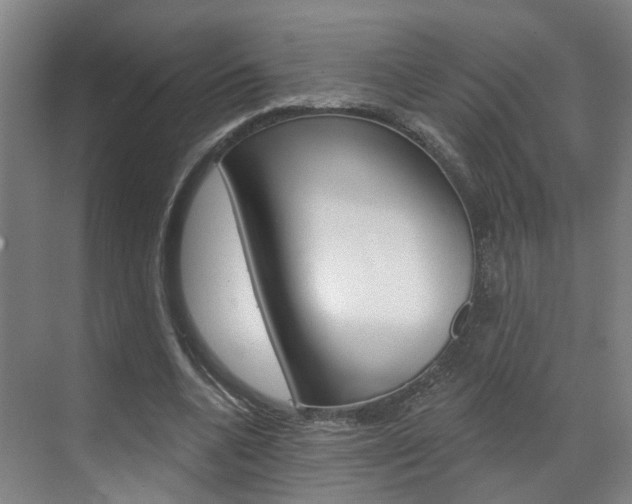 X0000071850536200606301132