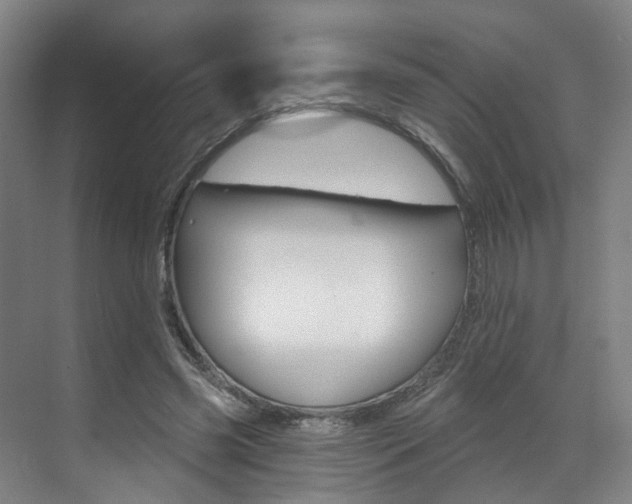 X0000071850541200606301132