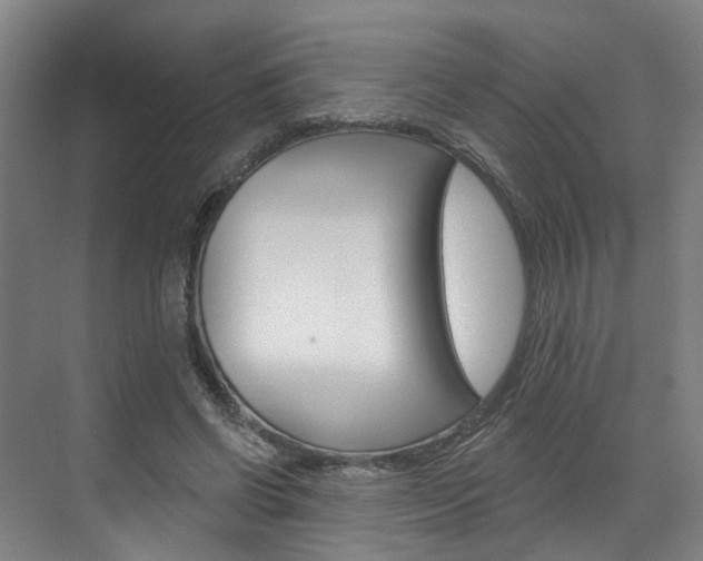 X0000071850542200606301132