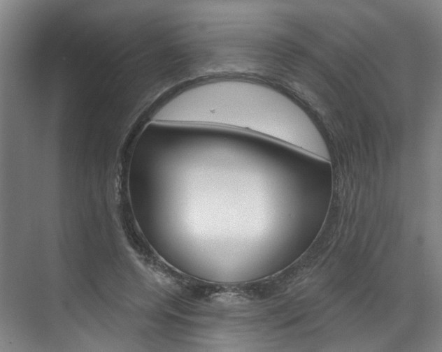 X0000071850544200606301132
