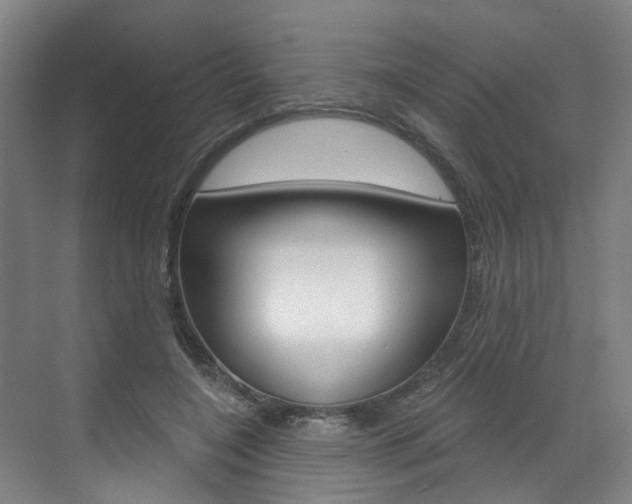 X0000071850548200606301132