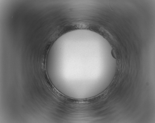 X0000071850553200606301132