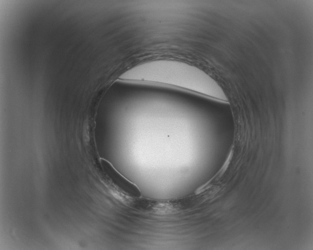 X0000071850562200606301133