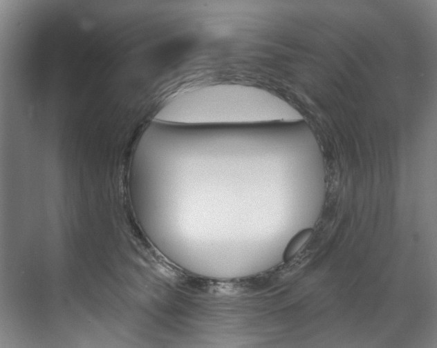 X0000071850565200606301133