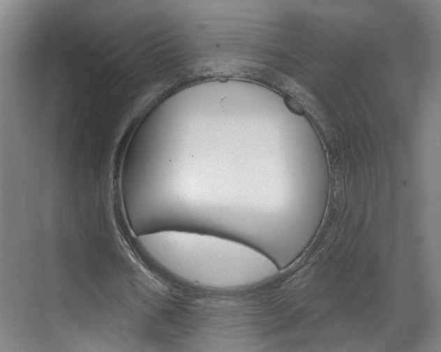 X0000071850578200606301132