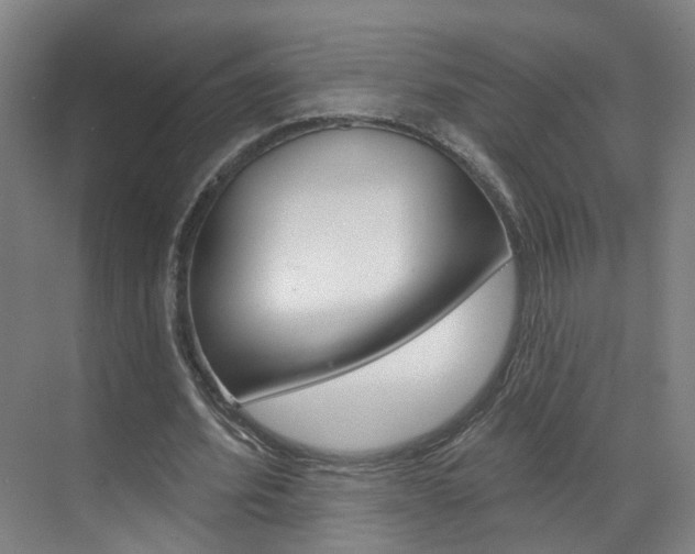X0000071850580200606301132