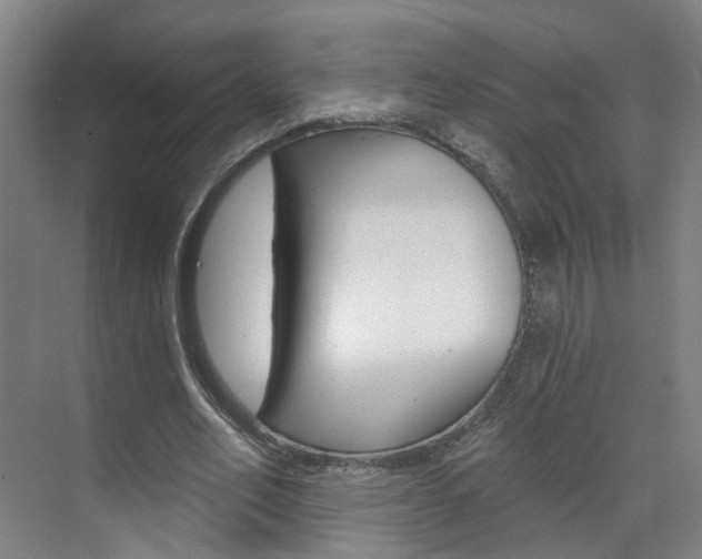 X0000071850582200606301132