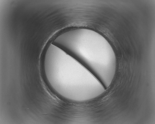 X0000071850584200606301132