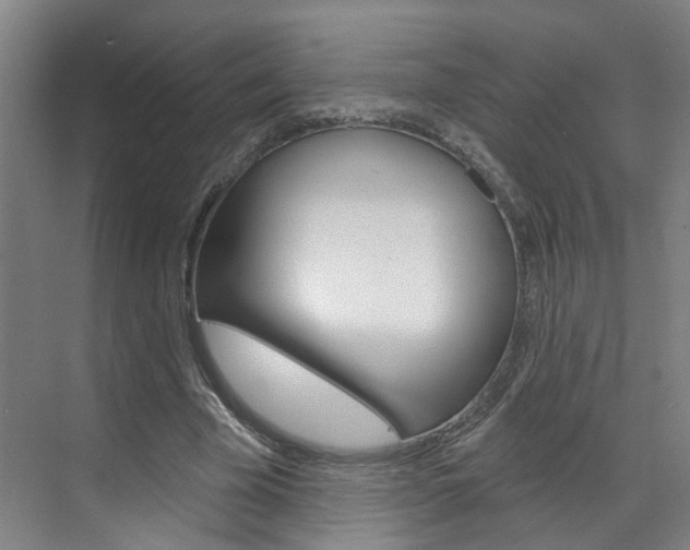 X0000071850585200606301132