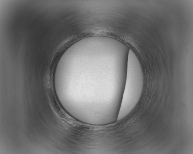 X0000071850587200606301132