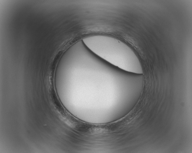 X0000071850590200606301132