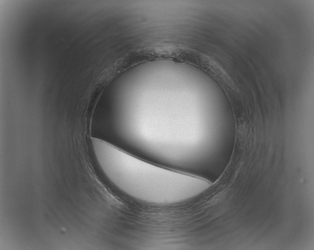 X0000071850593200606301132