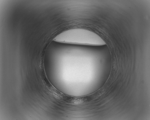 X0000071850604200606301132