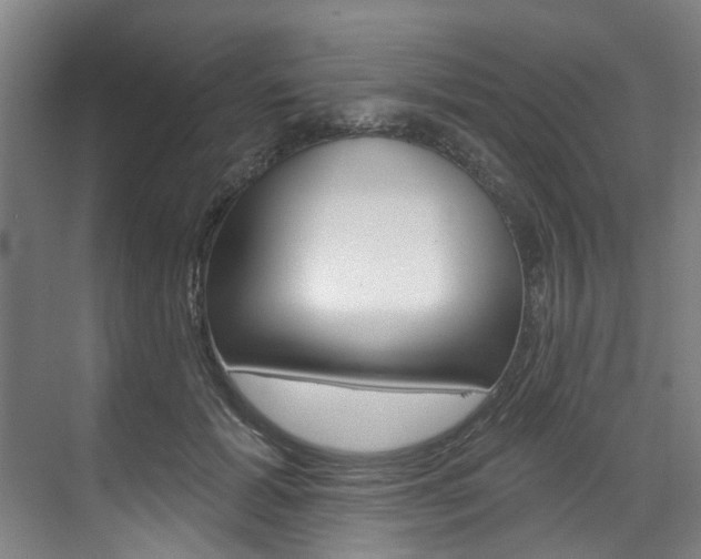 X0000071850605200606301131