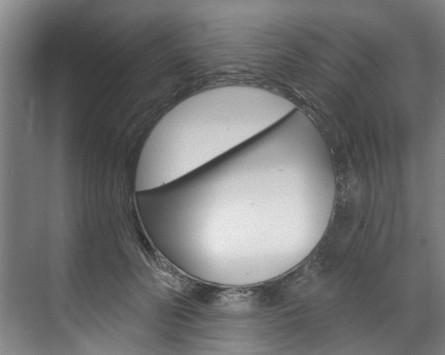 X0000071850606200606301131