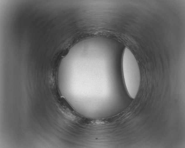 X0000071850607200606301131