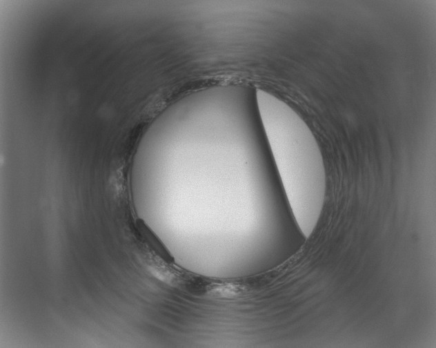 X0000071850611200606301131