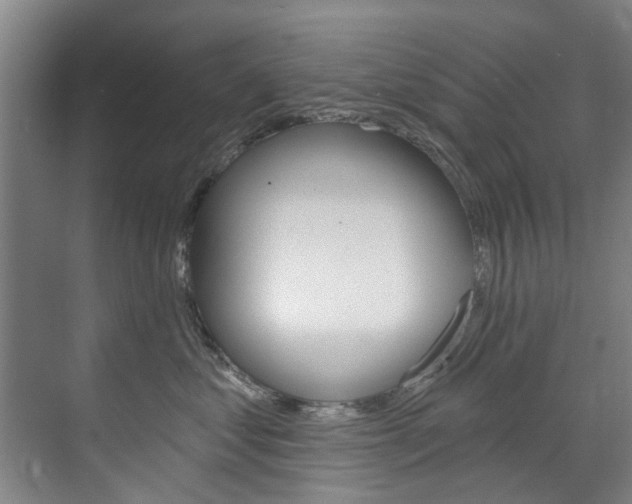 X0000071850621200606301131