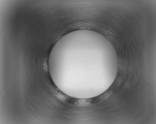 X0000071850622200606301131