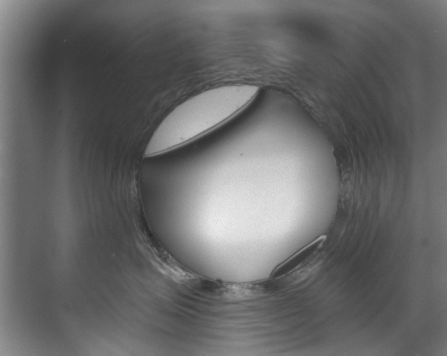 X0000071850623200606301131