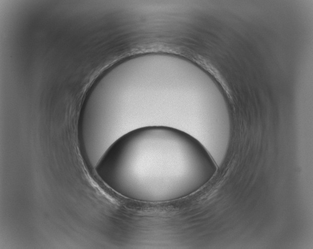 X0000071850625200606301130