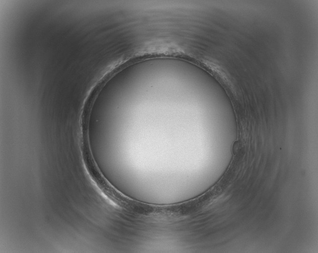 X0000071850630200606301130
