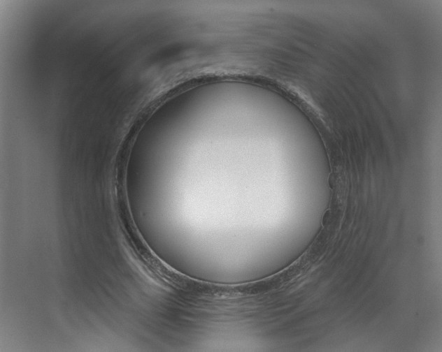 X0000071850631200606301130