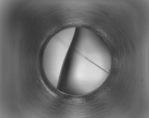 X0000071850638200606301131