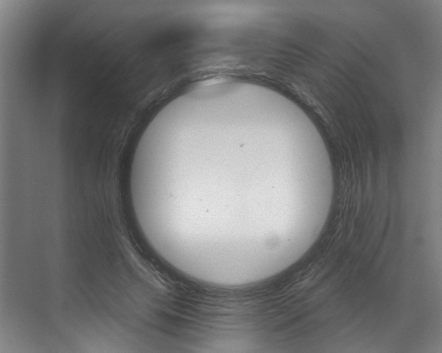X0000071850639200606301131