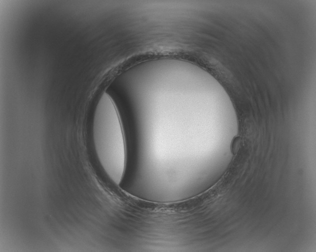 X0000071850640200606301131