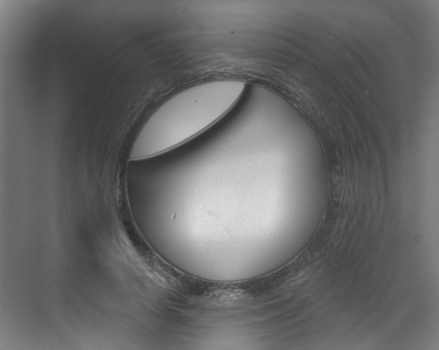 X0000071850642200606301131