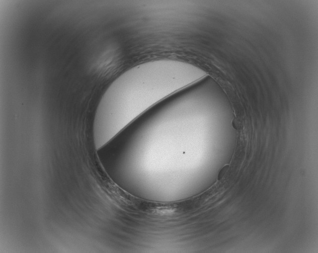 X0000071850651200606301131