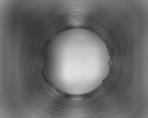 X0000071850653200606301131