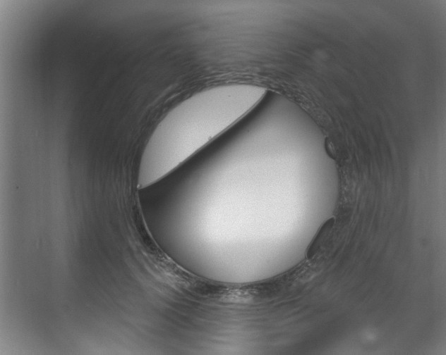 X0000071850656200606301131