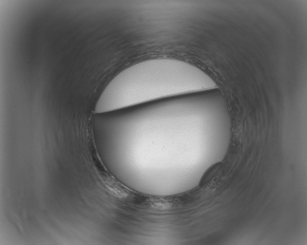 X0000071850658200606301131
