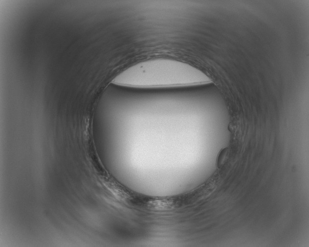 X0000071850660200606301131