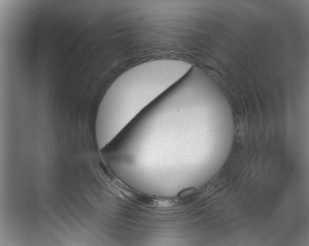 X0000071850662200606301131