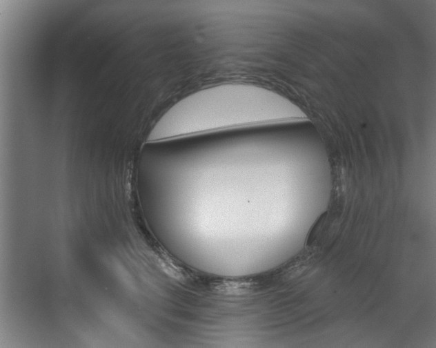 X0000071850664200606301131