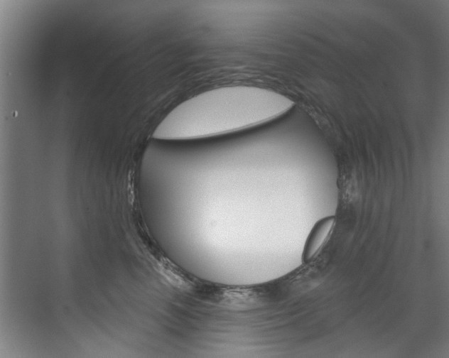X0000071850666200606301131